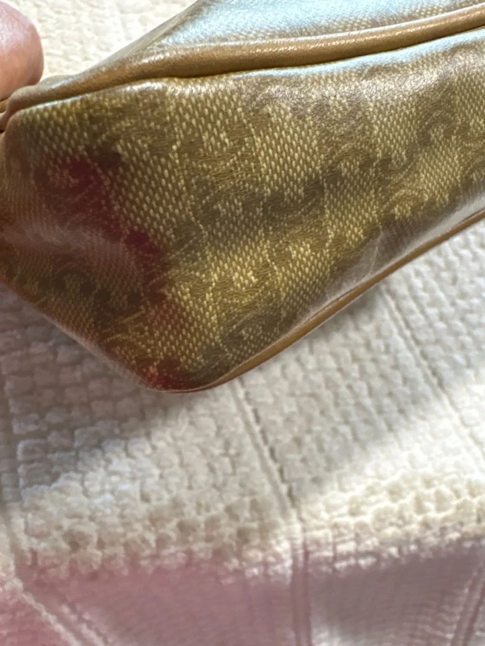 Celine cosmetic case